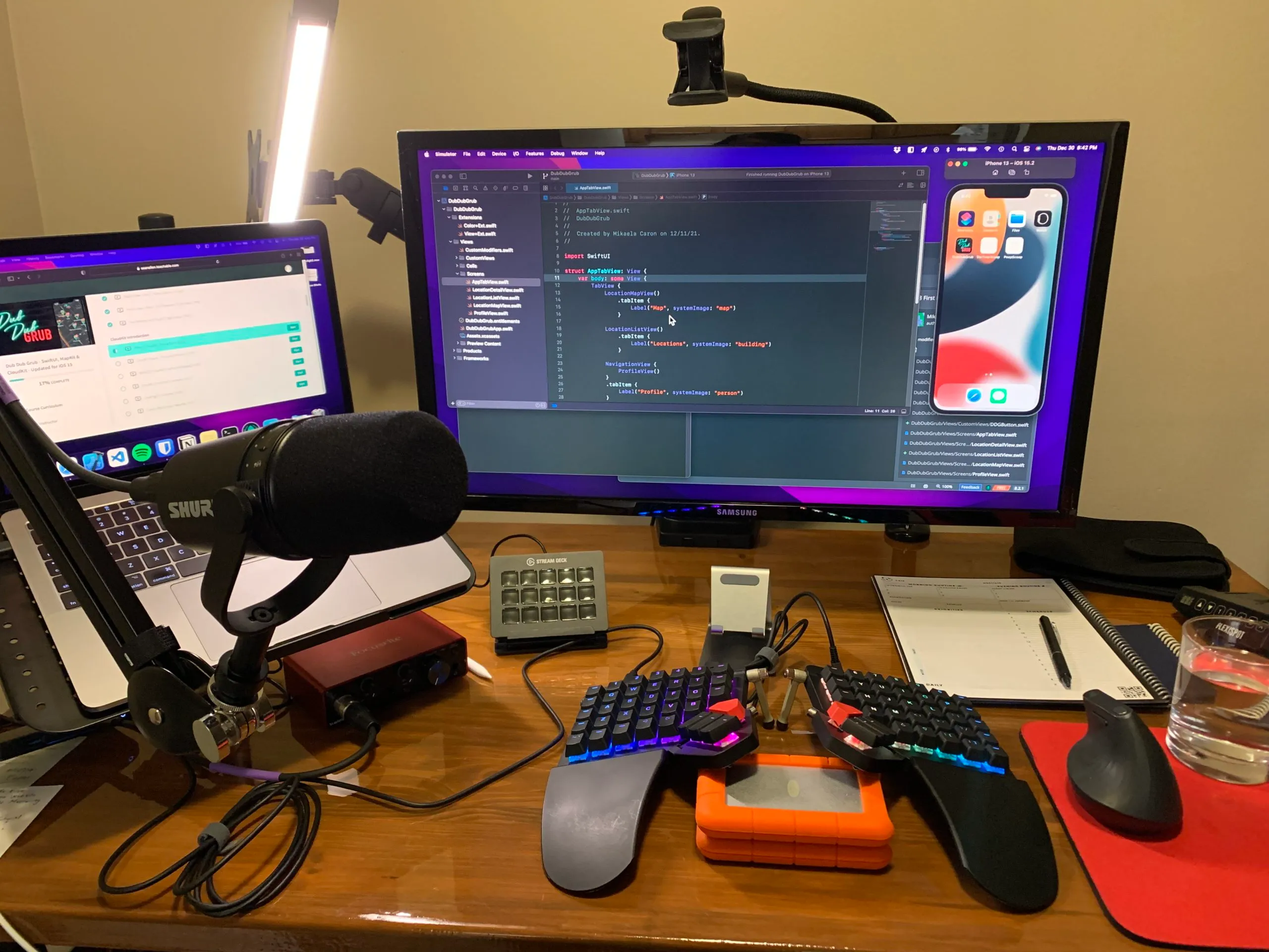 Mikaela's desk setup
